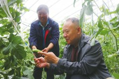 <b>挥帮扶村下层党组织正在村内各项工做中的带领</b>