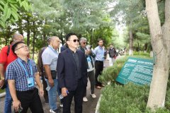 <b>调南西医药财产和体育锻炼事业成长</b>