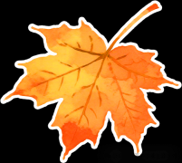 是很多家长眼中的喷鼻饽饽