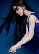 匹敌组织审查；表